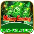 6g6g - Gaming Premium