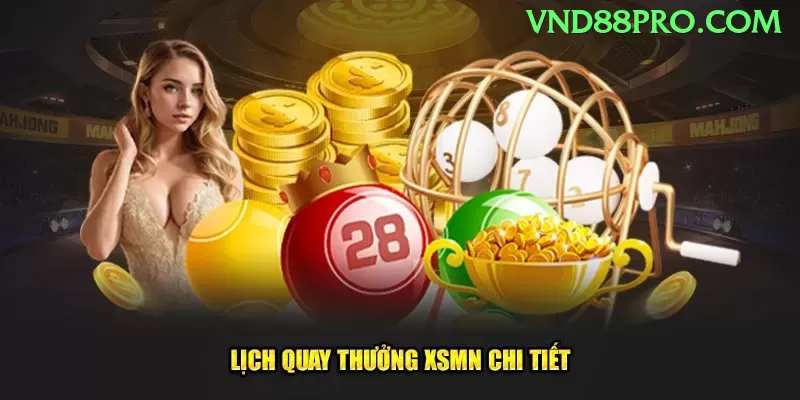 contavip no Brasil: Análise Completa e Recomendações - app