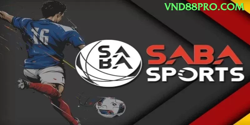 Tudo Sobre bbgrupopg: Guia Atualizado Para 2024 - app